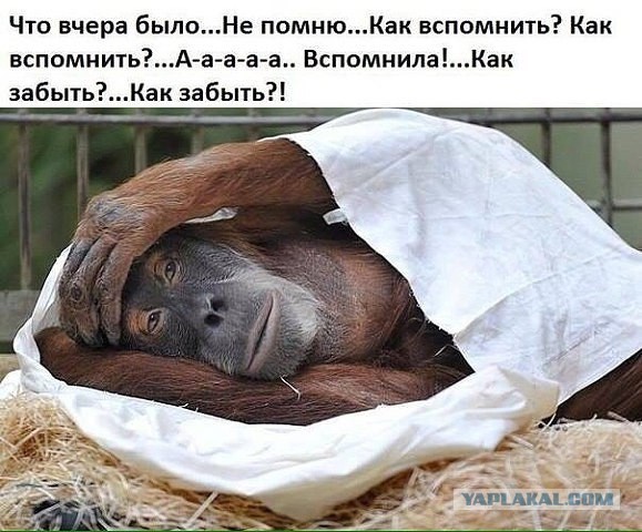 Нужно бросать пить нафиг. Прошу прощения, кого обидел...