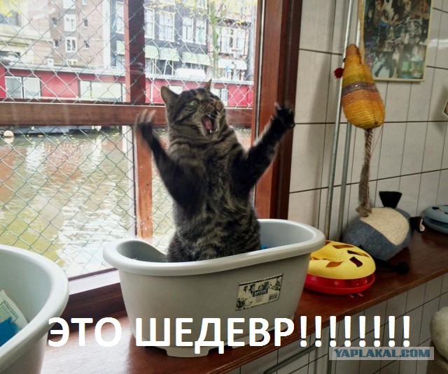 Название темы