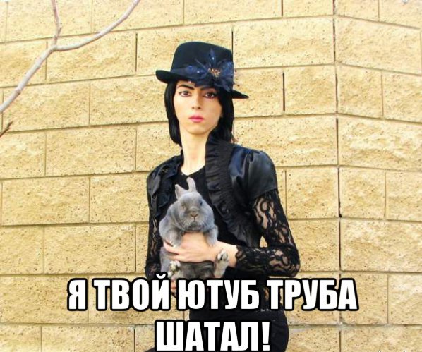 Ролик сумасшедшей, напавшей на офис Youtube