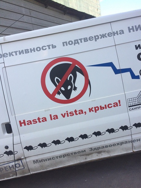 Прикольные картинки
