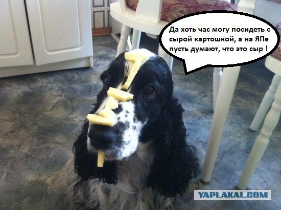 Я тоже умею терпеть