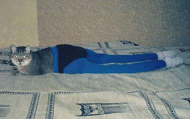 WTF: что тут происходит?