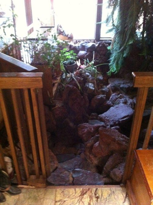 Тихий пруд... внутри дома!