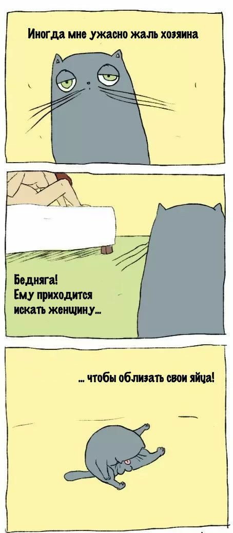 31 первый километр