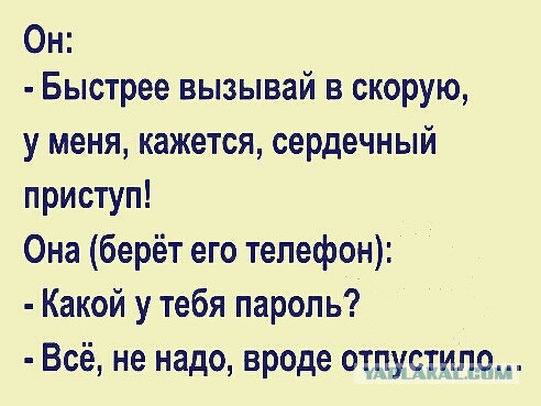 Подборка интересных и веселых картинок 05.03.19