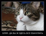 Аватары на заказ