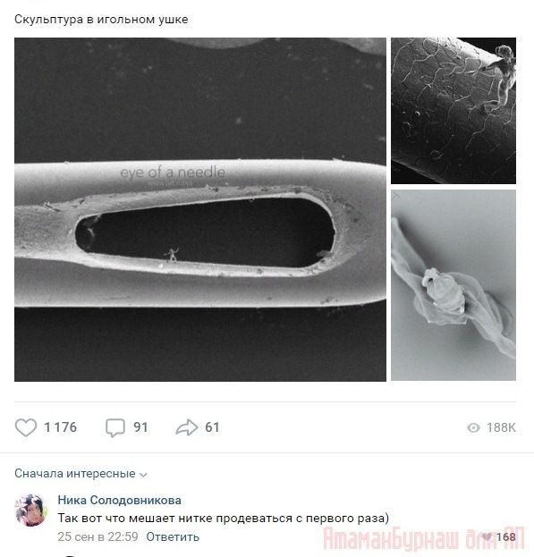 Комментарии к постам в разных группах, которые вызвали улыбку