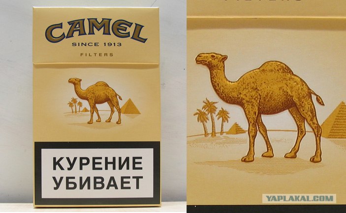 Кемал компакт. Camel 1913 пачка сигарет. Пачка сигарет кэмел желтый. Camel сигареты самец. Сигареты кэмел бригада.