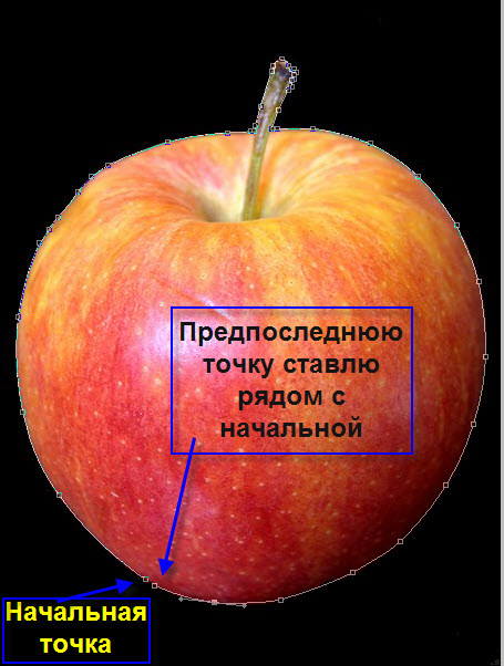 Школа Фотожабы