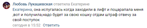 Котейке из Красноярска очень не повезло с хозяевами