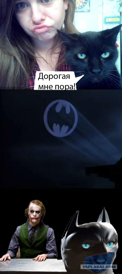 Фотожаба: Я и моя сраная хозяйка