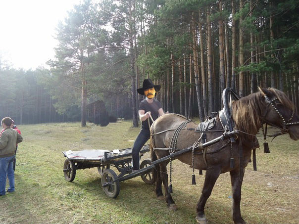 Фотожаба: если б я имел коня...