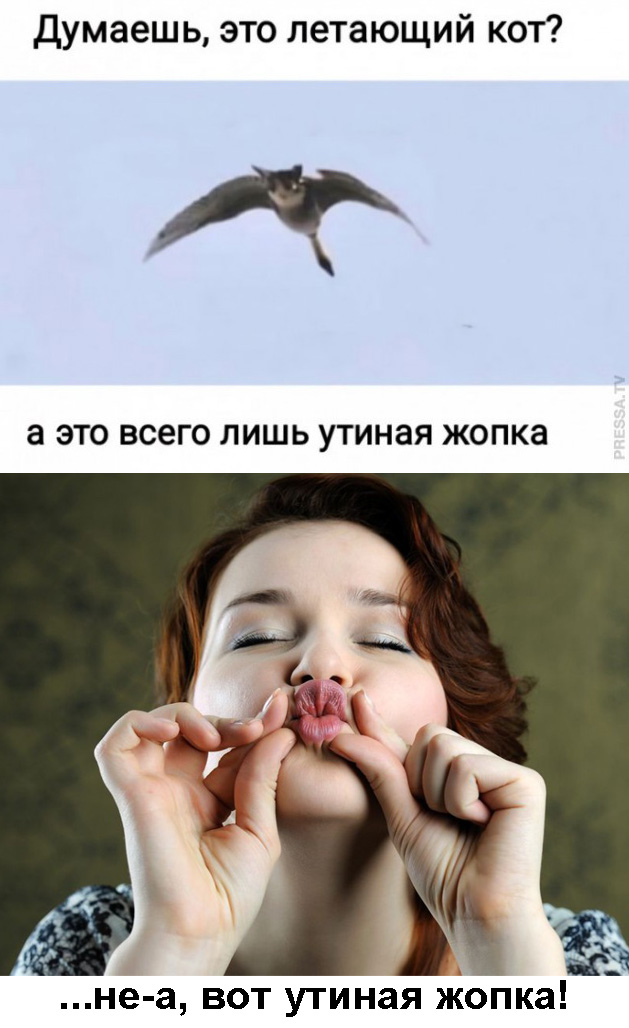 Картинки и мемы для настроения