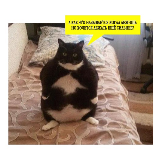 И где?