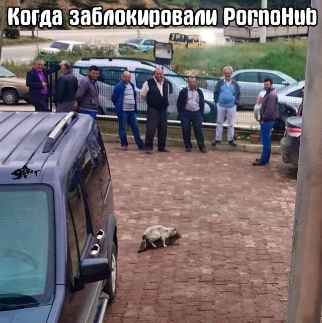Так себе картинки 20.08.21