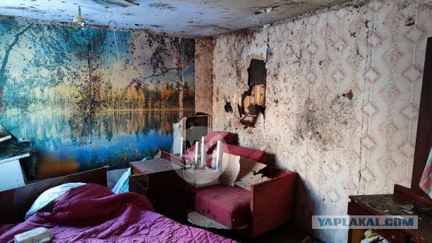 Тело подполковника Росгвардии нашли без головы и кистей рук