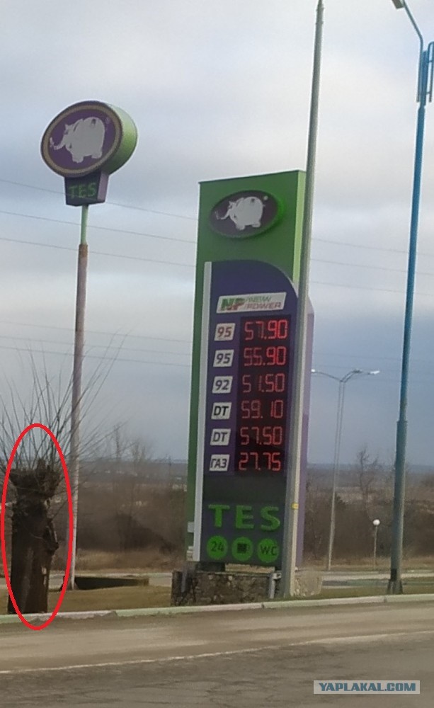 Очередной рывок прорыва