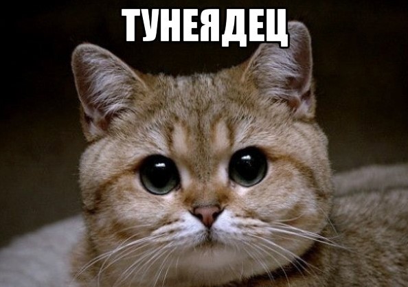 Не работаешь? Красавчик