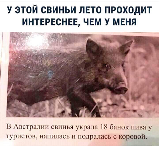 16766103.png