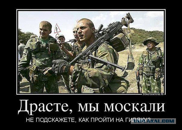 Большое и маленькое: как люди сходят с ума из-за политики