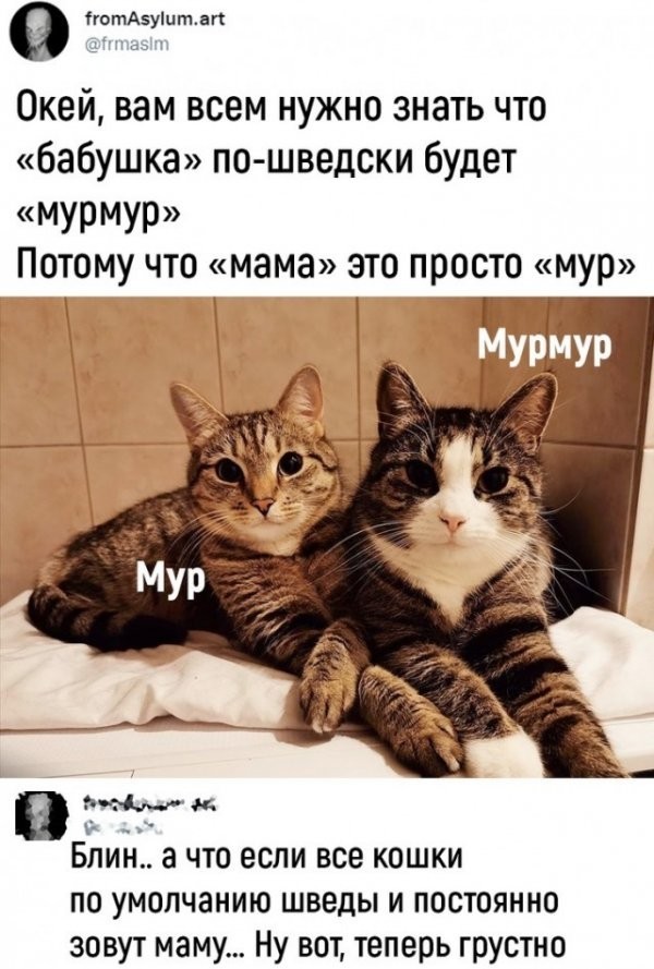 Скриншоты, комментарии, картинки 22.06.22