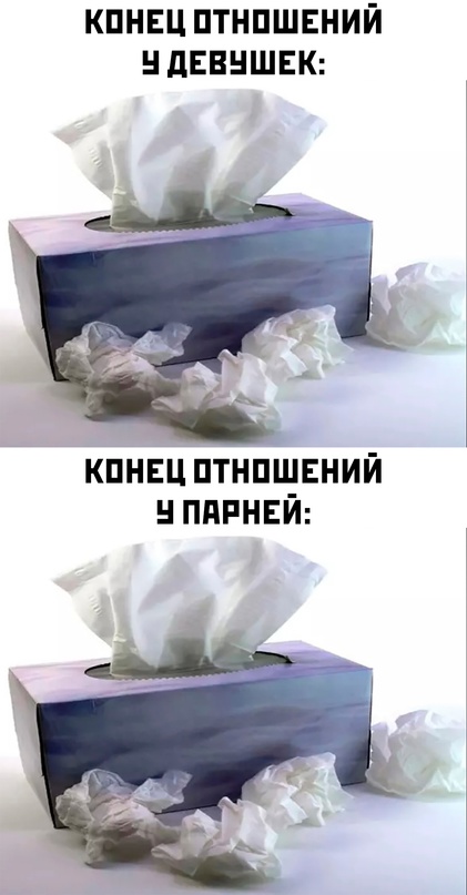Весёлый полтишок 18.08.22