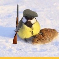 А я птиц так кормлю