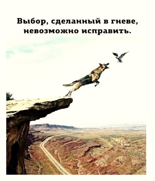Немного картинок для настроения - 127