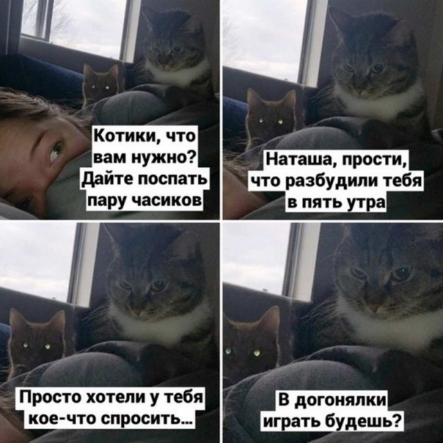 Картинки и мемы, всем хороших выходных