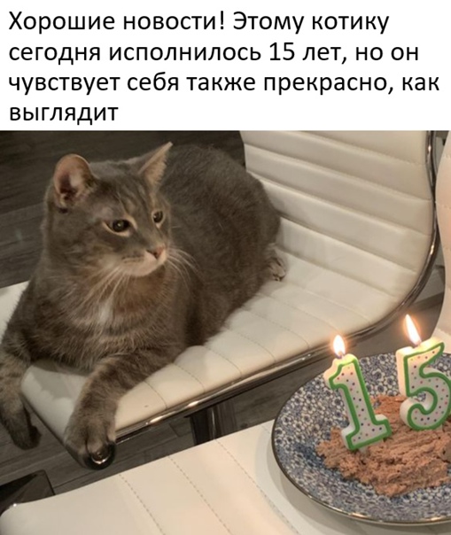 Немного картинок для настроения - 135