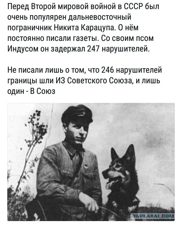 Это норма?