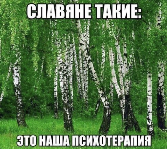 Прикольные и просто красивые картинки 04.08.2023