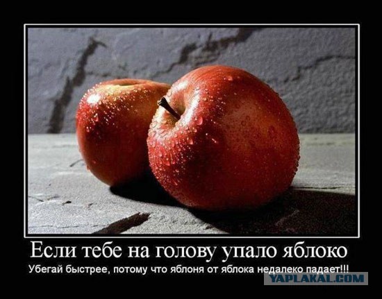 Яблоко от яблони недалеко падает