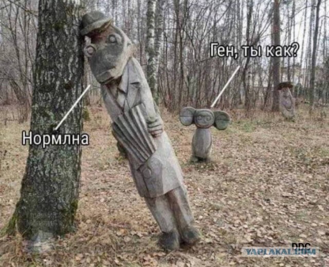 Сказка в жизни