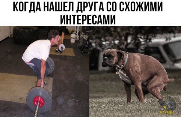 Любители снотворного