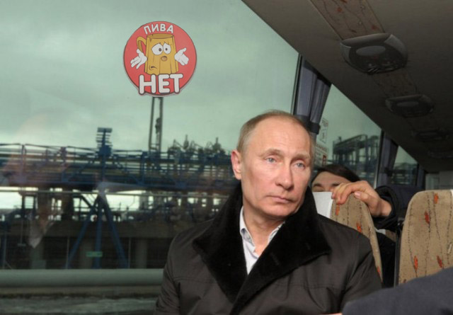 Грустный какойто, на лиса  похож