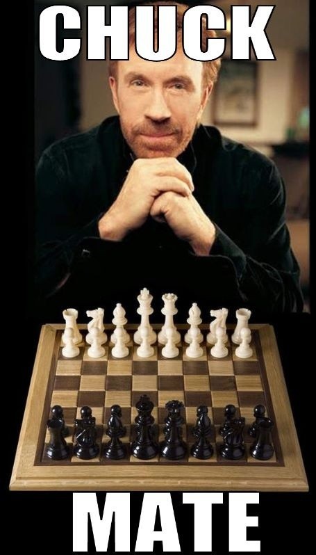Илон Маск утверждает, что шахматы будут «решены» в течение 10 лет