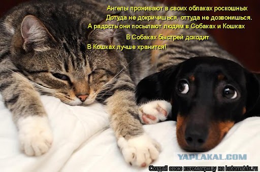 Горе пришло в мой дом