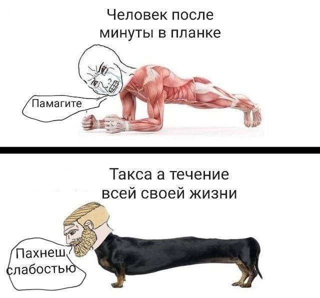 Сборник бабаянов и т.д. и т.п.