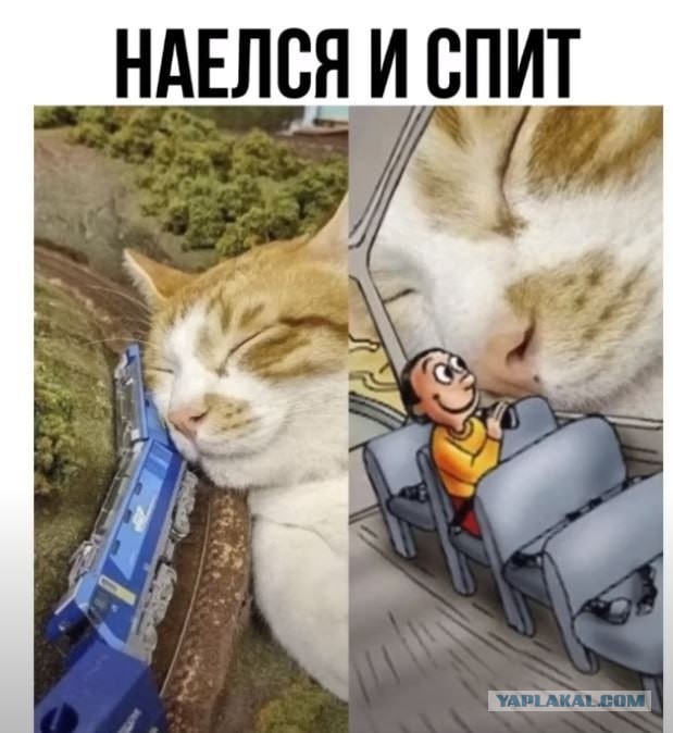 Всего понемногу. От 30.09.24