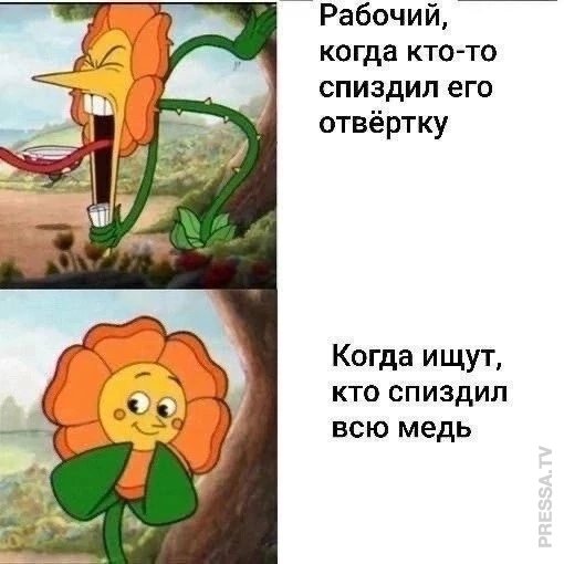Веселые картинки в маленькую пятницу (19.02)