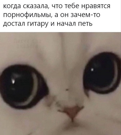 Кофеин и Никотин