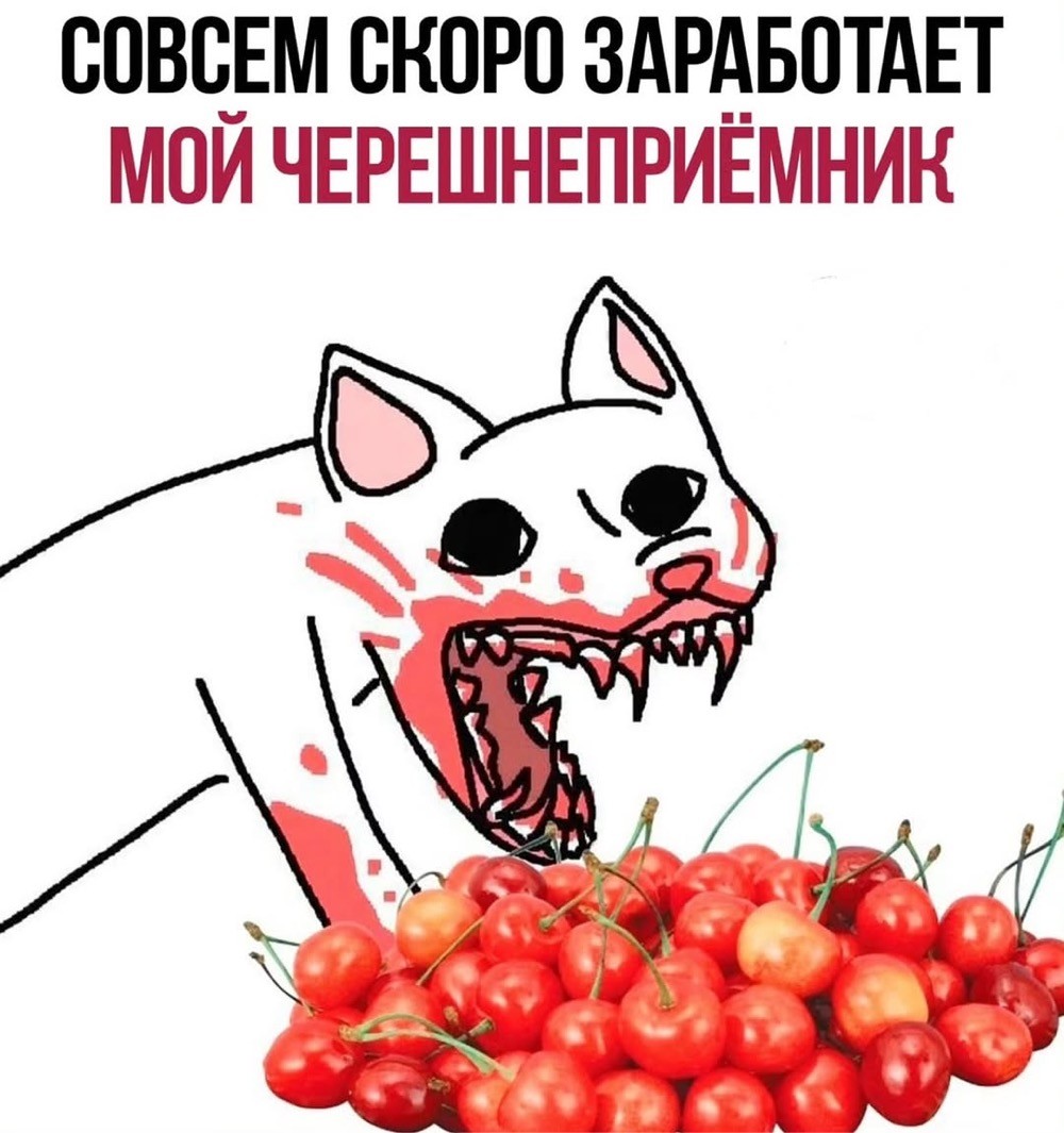Быстрая деградация
