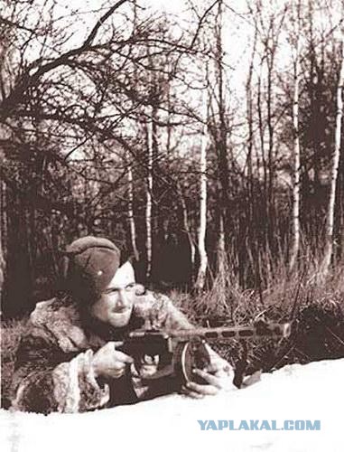 «Надо, Федя, надо!»