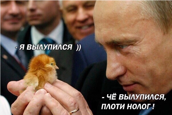 Путин может стать героем мультсериала "Простоквашино"
