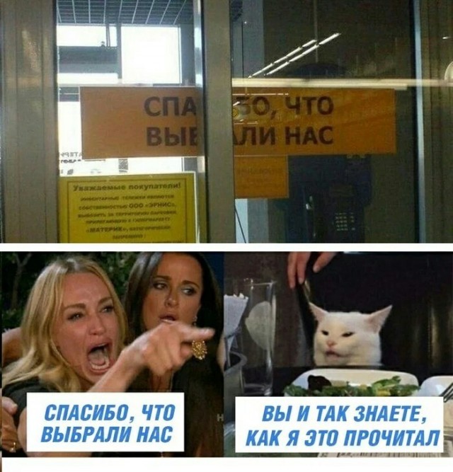 Знаменитый кот