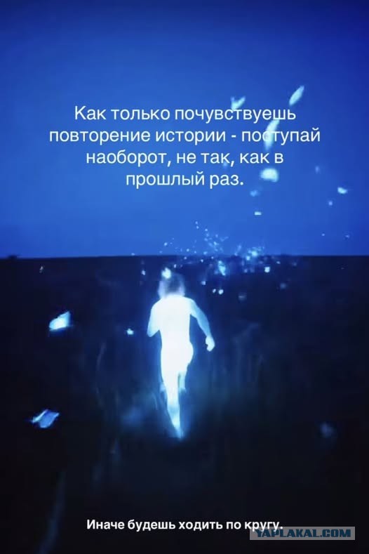 Веселое настроение в картинках (20.11.2025)