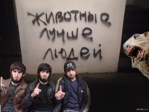 Схватка Хамзата Чимаева и Дэниса завершилась массовой потасовкой