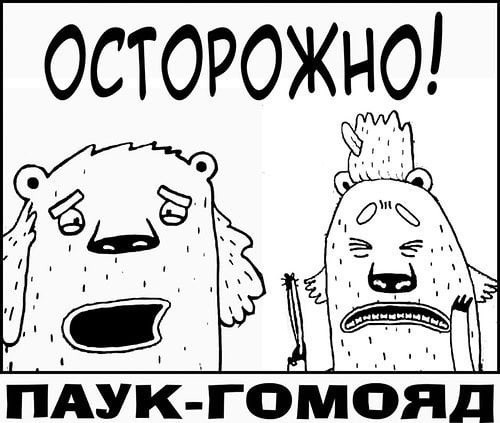 Пингвины умные, они знают как выживать.
