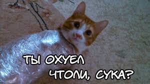 Боже, я феерический дебил